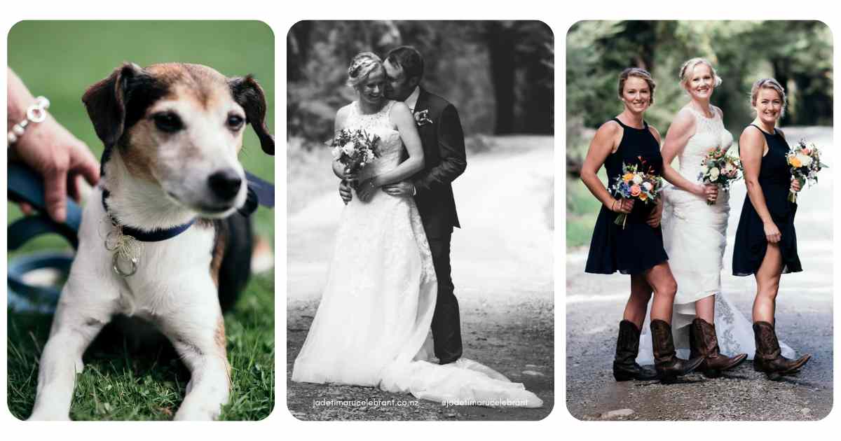 Three photos. One of a small dog with wedding rings tied to their colllar. Black and white photo of bride and groom posing. Third photo of bride and two bridesmaids with cowboy boots on. Jade Timaru Wedding Celebrant. www.jadetimarucelebrant.co.nz  