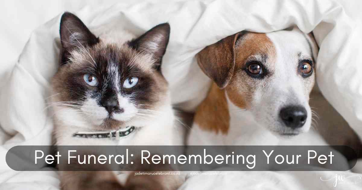 Cat and dog friends. Brown and white cat with blue eyes and Jack Russel dog peeking out under a white blanket. Test reads: Pet Funeral: Remembering Your Pet. Jade Whaley Celebrant. wwwjadetimarucelebrant.co.nz