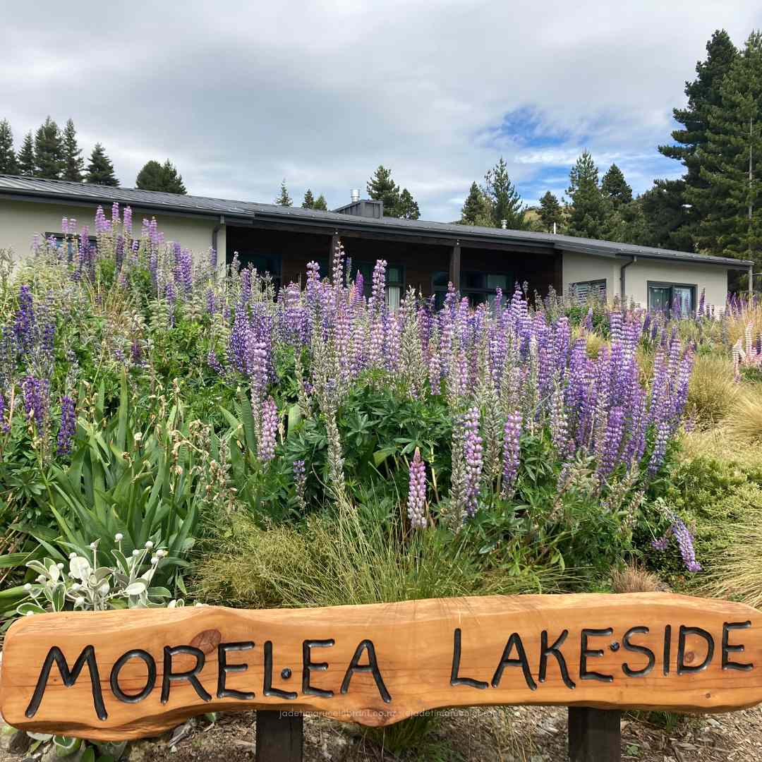 Get married by Jade Whaley, marriage Celebrant, at Morelea Lakeside with lupins at Lake Tekapo: Elopement and wedding packages.